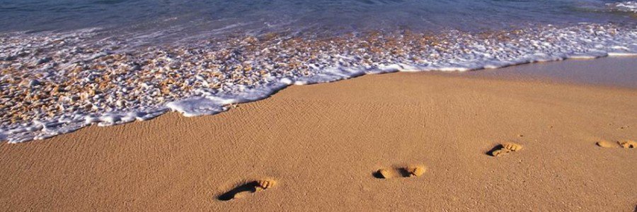shore One set of footsteps on sand